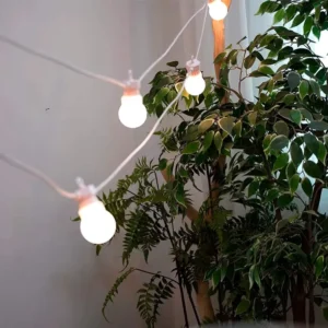 Guirlande guinguette : comment bien éclairer sa terrasse ? 4 Guirlande guinguette LED à ampoules blanches installée près de plantes vertes